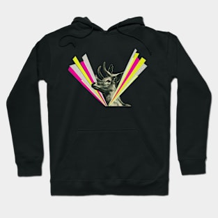 Did I Startle You, Dear? Hoodie